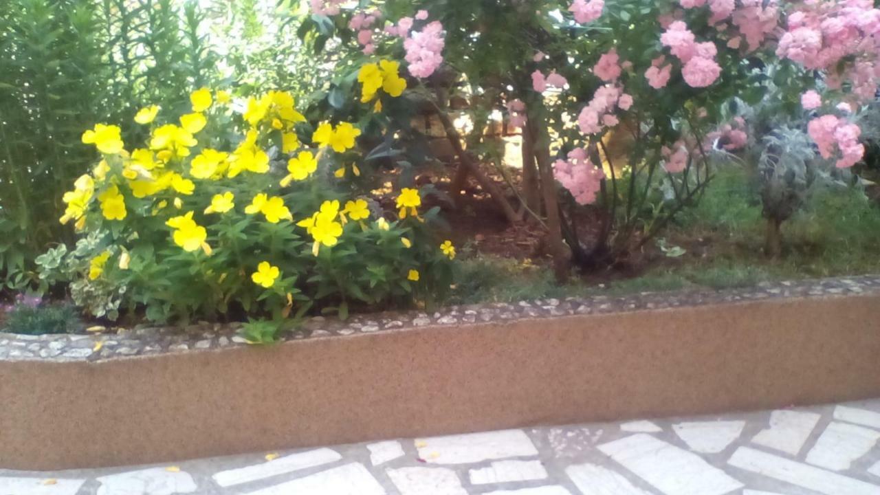 PUY Apartment Tea מראה חיצוני תמונה
